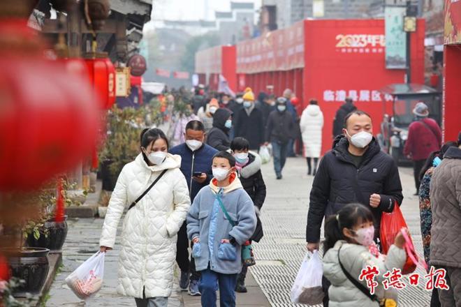 【摄影报道】这场年货节现场人气“爆棚”