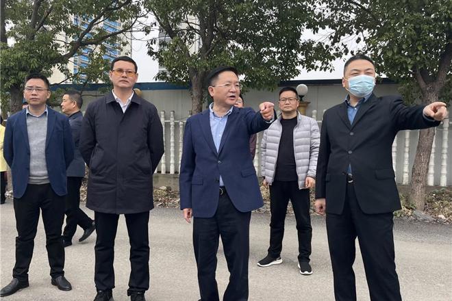 市领导督导创建全国文明城市和巩固国家卫生城市工作