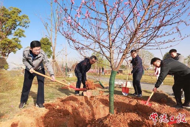 曹志强等参加2023年义务植树活动