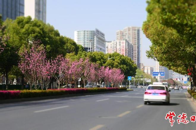 【赏花地图】春风正好 桃花正浓