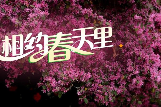 【海报】相约常德，拥抱春天