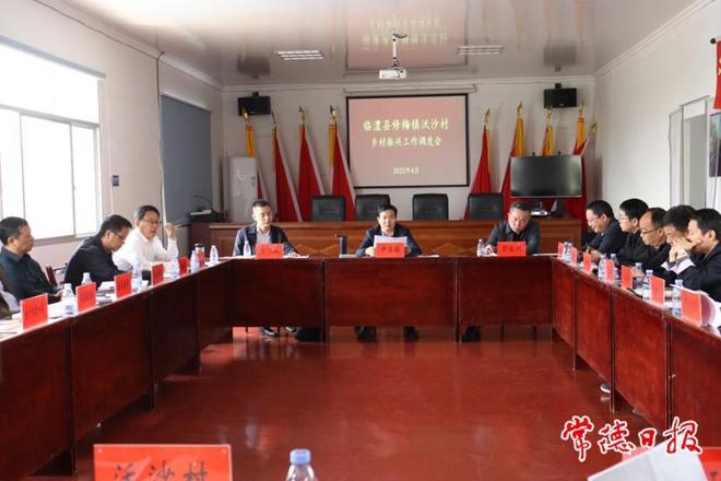 市领导到沃沙村调研乡村振兴工作