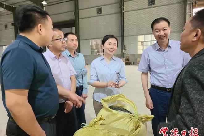 市领导调研雁池乡五通庙社区乡村振兴工作