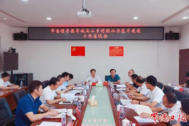 市领导调研澧县城头山乡村振兴示范片建设工作 全力打造全市乡村振兴示范样板