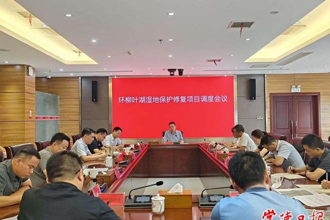 市领导调研环柳叶湖湿地保护修复项目