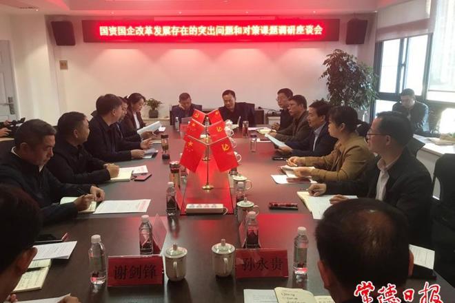 市领导开展国资国企改革发展调研