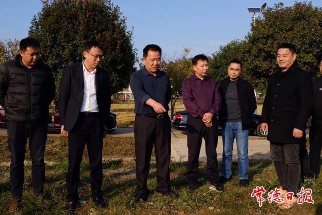 市领导前往联点村调研乡村振兴等工作