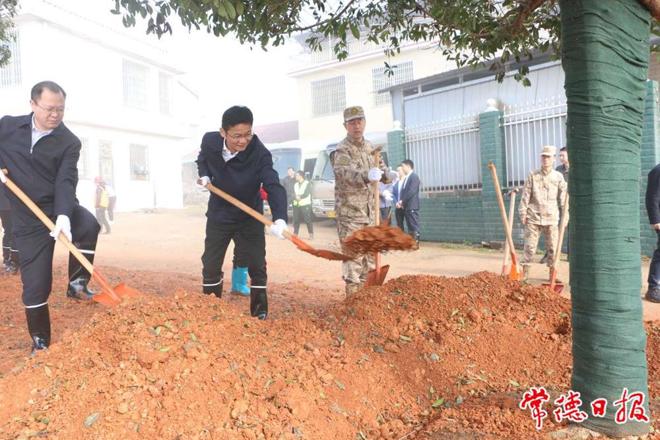 我市开展集中义务植树活动