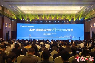 常德市举办2024年德商恳谈会暨柳叶湖创投大会
