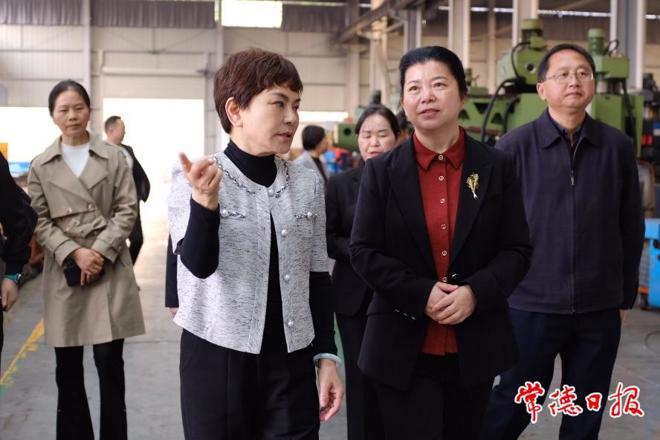 市领导率队到鼎城区、常德高新区开展执法检查