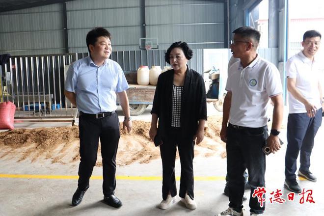 市领导到石门县花园台村调研乡村振兴工作