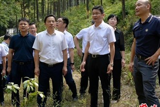 曹志强在常德国有林场开展巡林工作
