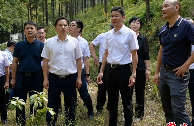 曹志强在常德国有林场开展巡林工作