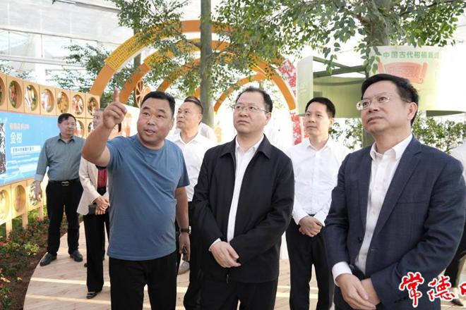 周振宇赴石门县督导调研