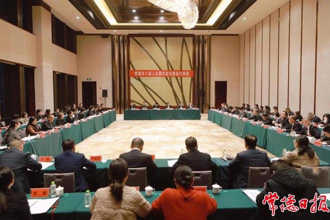 罗毅君参加常德市八届人大四次会议澧县代表团审议