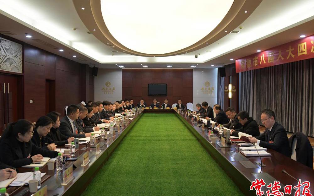 周振宇参加津市代表团审议