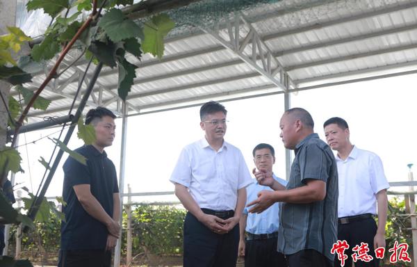罗毅君在安乡县、汉寿县调研
