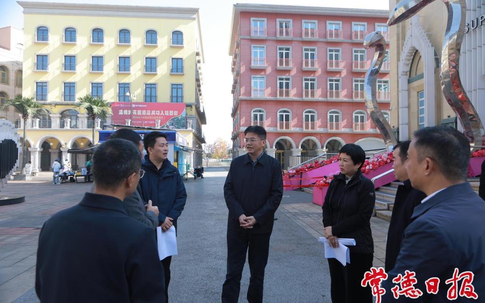 罗毅君带队调研常德河街西街国有资产盘活相关工作