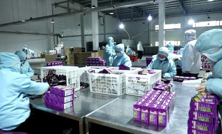 安乡津山口福：酱菜飘香产销旺 产能提速拓市场