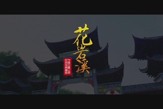 中国白鹭之乡-花岩溪