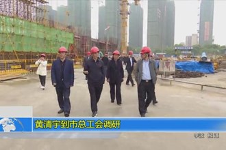 黄清宇到市总工会调研