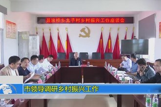 市领导调研乡村振兴工作