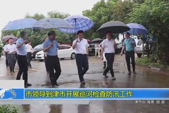 市领导到津市开展巡河检查防汛工作
