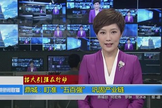 鼎城：盯准“五百强” 巩固产业链