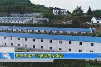 常德市生猪产业发展势头强劲