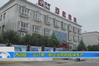 西洞庭：“云订单”助企业抓防疫保生产