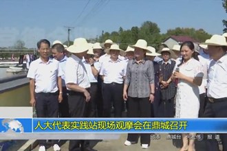 人大代表实践站现场观摩会在鼎城召开