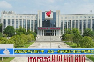 武陵区委书记康少中：走出一条充满活力的立体招商之路