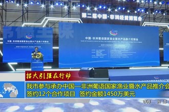 招大引强在行动(9.29)