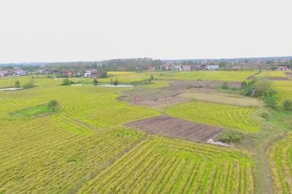 澧县涔南镇：生态农业新理念 稳产增收好帮手