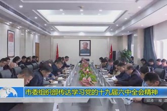 常德市委组织部传达学习党的十九届六中全会精神