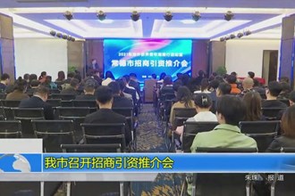 我市召开招商引资推介会