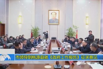市领导到桃源县就《政府工作报告》征求意见