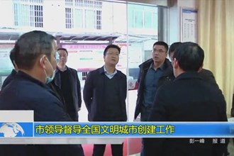 市领导督导全国文明城市创建工作