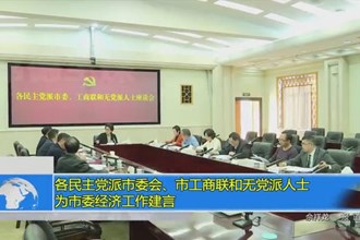 各民主党派市委会、市工商联和无党派人士为市委经济工作建言