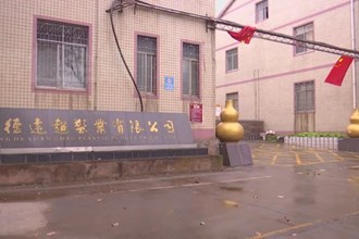 澧县：乡村振兴小车间 撬动就业大民生