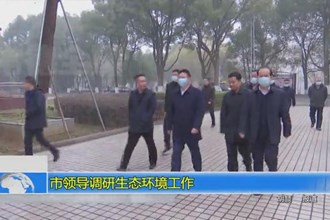 市领导调研生态环境工作