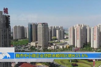 常德市中小微企业贷款余额同比增长15.6%