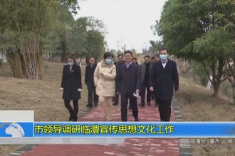 市领导调研临澧宣传思想文化工作