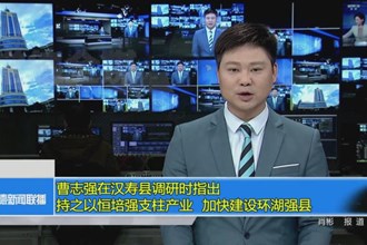 曹志强在汉寿县调研时指出：持之以恒培强支柱产业 加快建设环湖强县