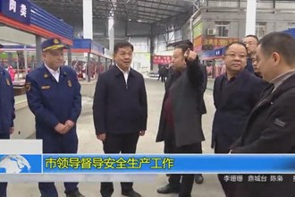 市领导督导安全生产工作