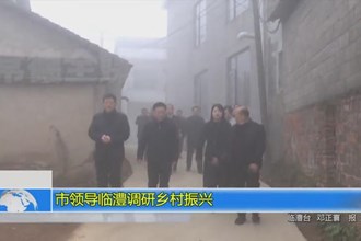 市领导临澧调研乡村振兴