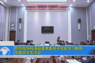 陈华指导桃源县委常委班子党史学习教育专题民主生活会