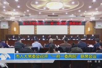 市人大常委会召开“一府一委两院”联席会议