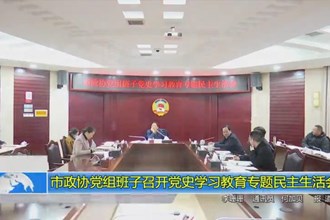 市政协党组班子召开党史学习教育专题民主生活会