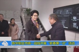陈华到全市统一战线开展“新春第一访”活动